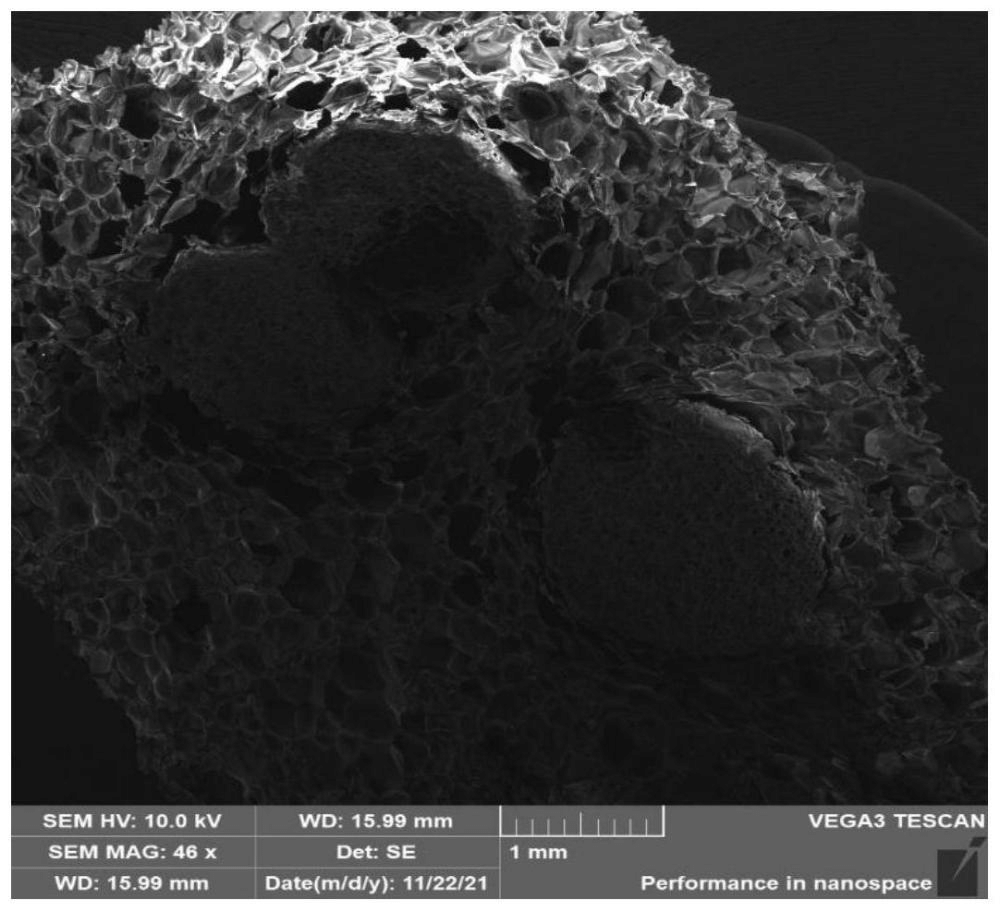 一種改性可發(fā)性聚苯乙烯顆粒、制備方法及其應(yīng)用