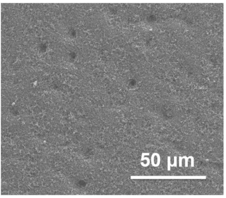 一種具有超疏水纖毛結(jié)構(gòu)的復(fù)合涂層、防水垢涂覆制品及其制備方法