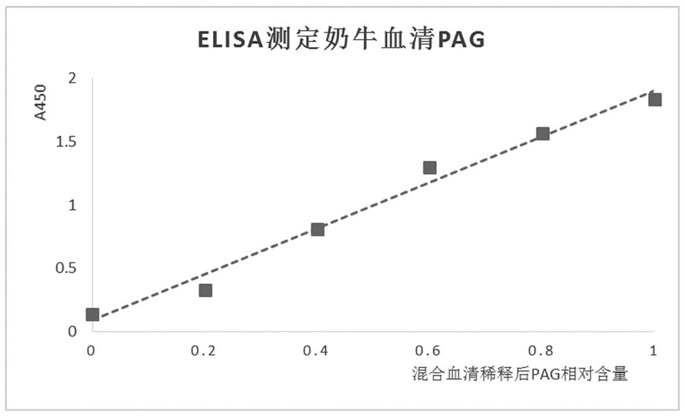 產(chǎn)生牛妊娠相關糖蛋白特異性單克隆抗體的小鼠雜交瘤細胞株、單克隆抗體、試劑盒及檢測